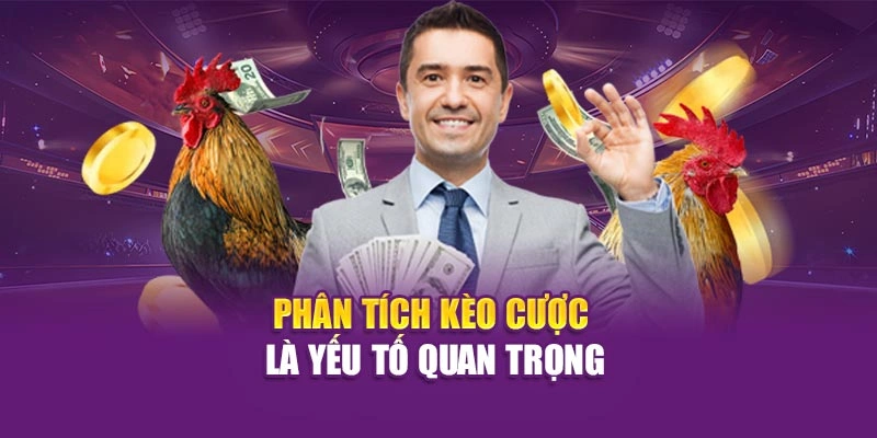 Thế Giới Gà Chọi – Khám Phá Sân Chơi Cá Cược Cùng Hi88 Phân tích kèo cược là yếu tố quan trọng